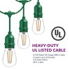 Newhouse Lighting - Outdoor 48-ft String Lights w/(16) Plastic LED Filament Bulbs Included, Green Cord CSTRINGLED18P-G